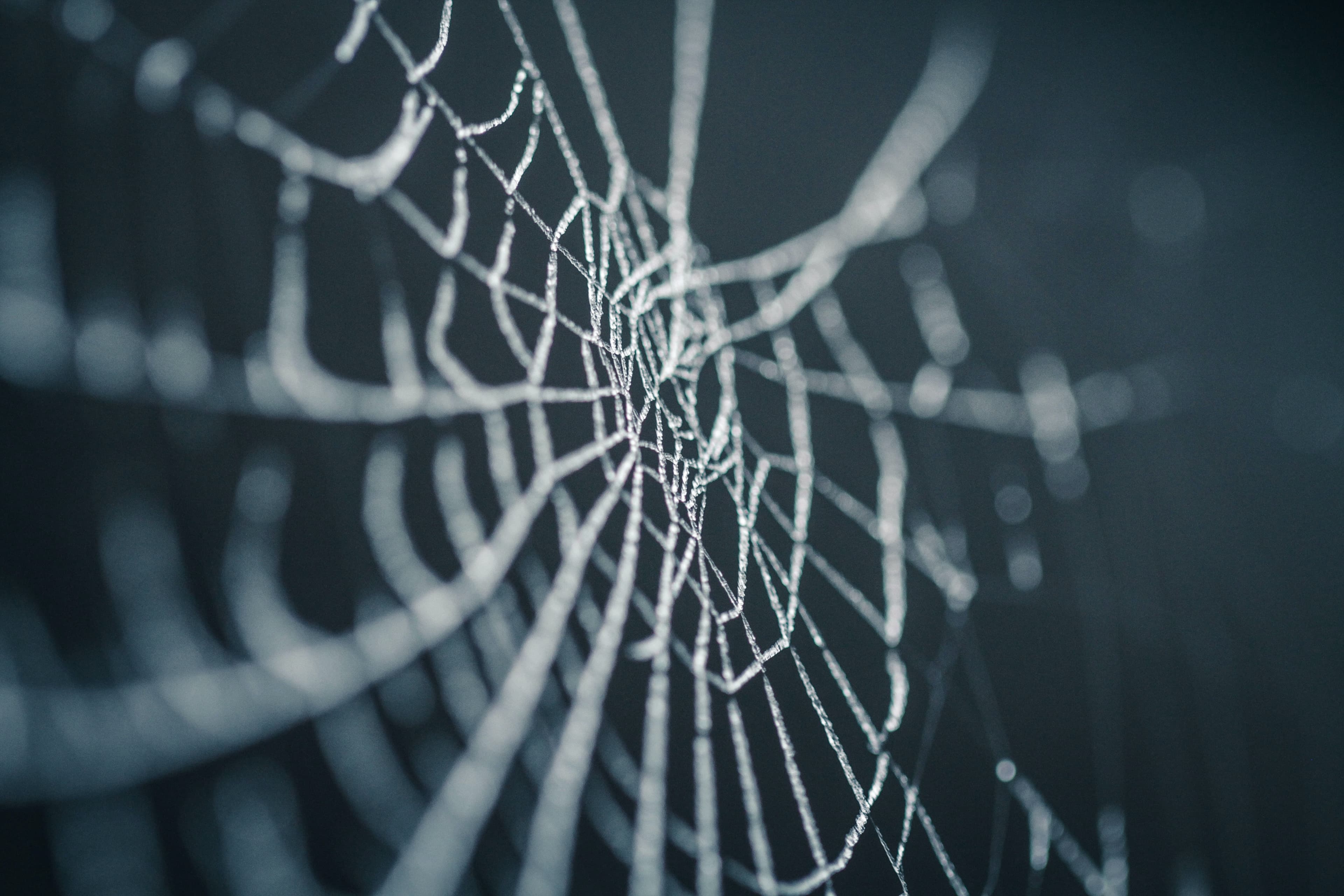 How The Web Works